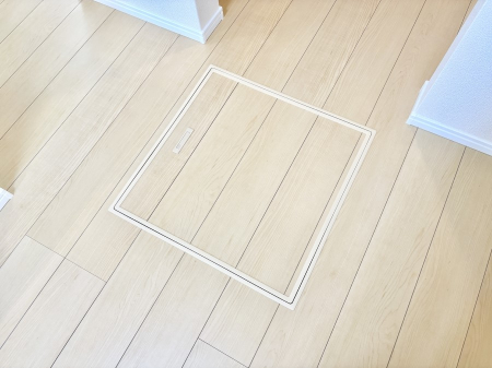 ̑ρ@[tIpiEpi̎[ɂ劈B
