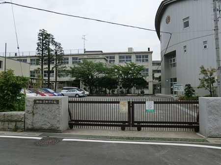ӊ@wZ 800m swZ