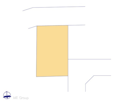 Ԏ}îPˌj@}ʂƈقȂꍇ͌D